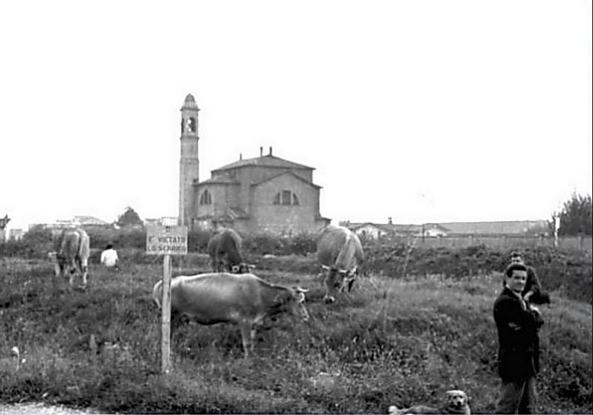 Barona