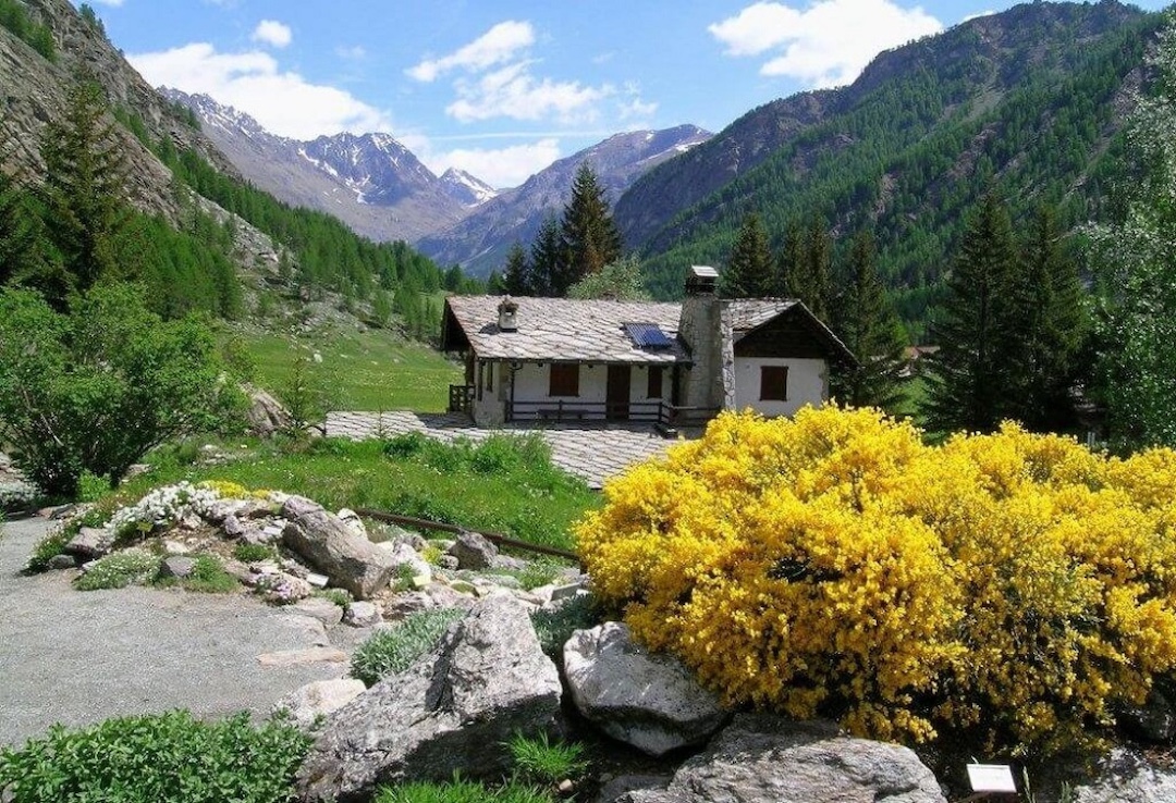Cogne, Giardino botanico alpino Paradisia